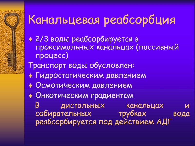 Канальцевая реабсорбция 2/3 воды реабсорбируется в проксимальных канальцах (пассивный процесс) Транспорт воды обусловлен: Гидростатическим